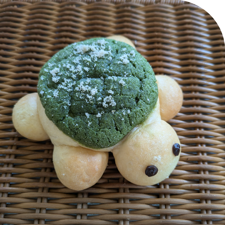 カメメロンパン